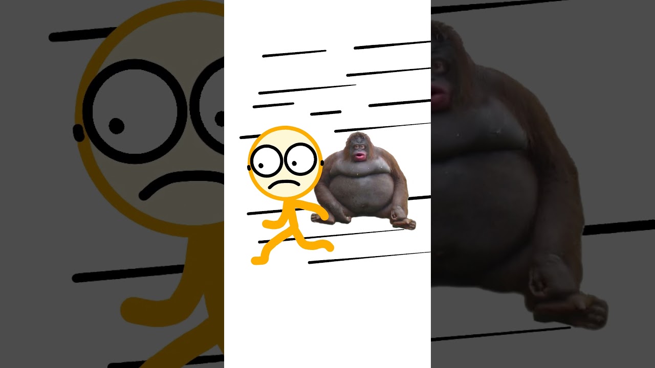 Homem macaco correndo atr&aacute;s de mim #meme