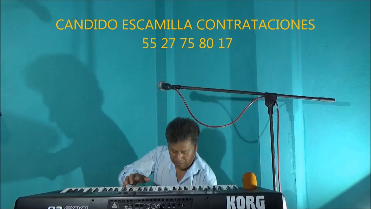 UNA PROBADITA DE MI AMPLIO REPERTORIO MUSICAL/tecladista de CHICOLOAPAN;5527758017
