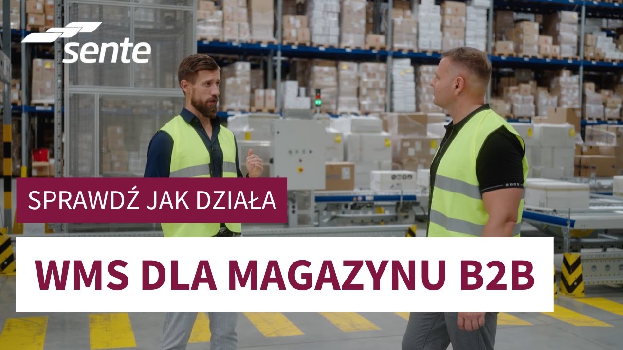 Optymalizacja magazynu B2B – zarządzanie magazynem z WMS | Rozwiązania magazynowe B2B