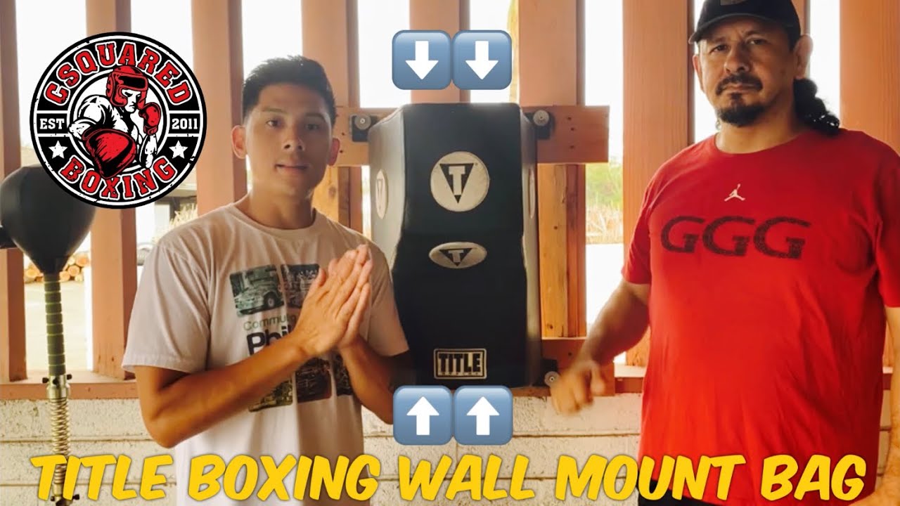 Title Boxing Wall Mounted Menace Training Bag- GREAT ALTERNATIVE TO HEAVY BAG IF LIMITED ON SPACE!