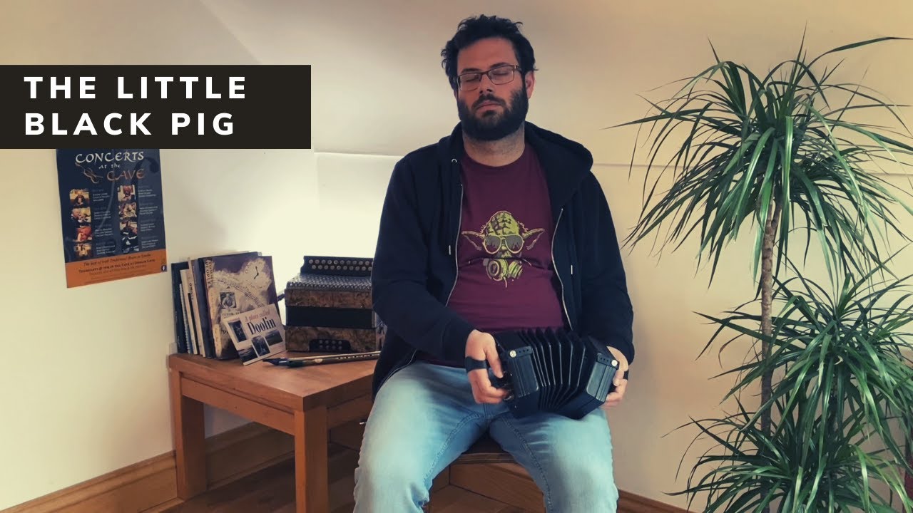 Little Black Pig (Jig) | Irish Music Tunes