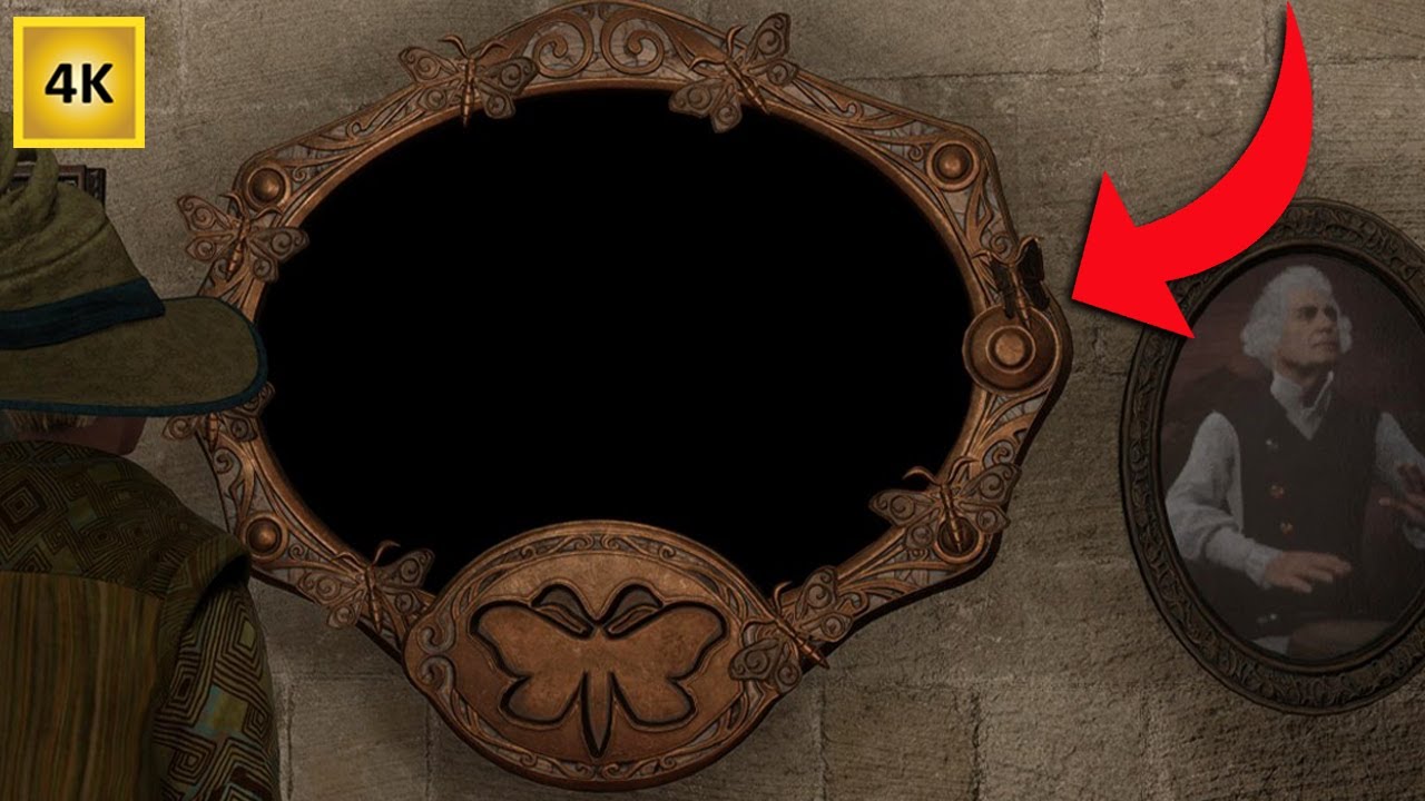 SOLVING Butterfly/Moth Blank Frames in Hogwarts Legacy