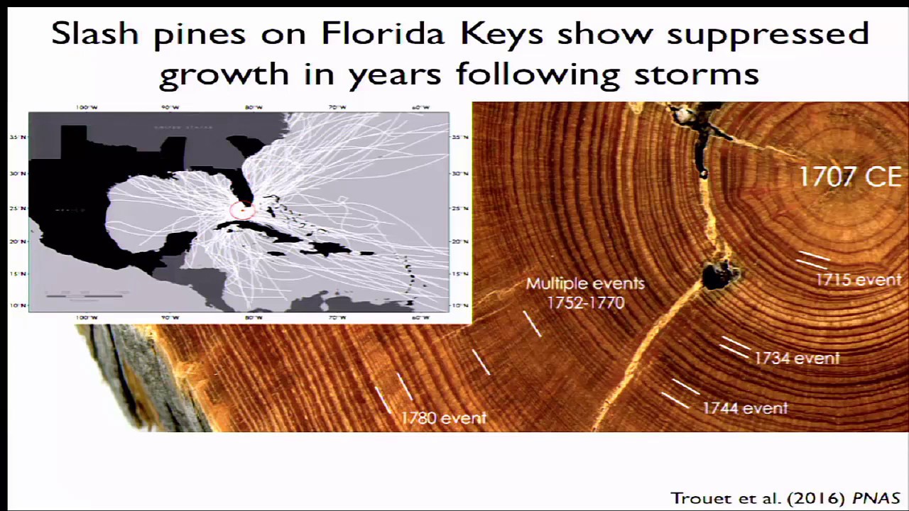 Causes and Consequences of Climate and Extreme Weather (Valerie Trouet)