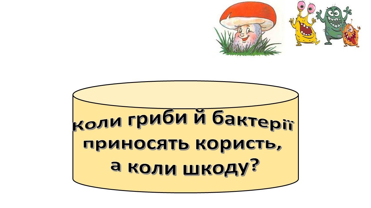Урок 81.  Коли гриби й бактерії приносять користь, а коли шкоду? Я досліджую світ 3 клас