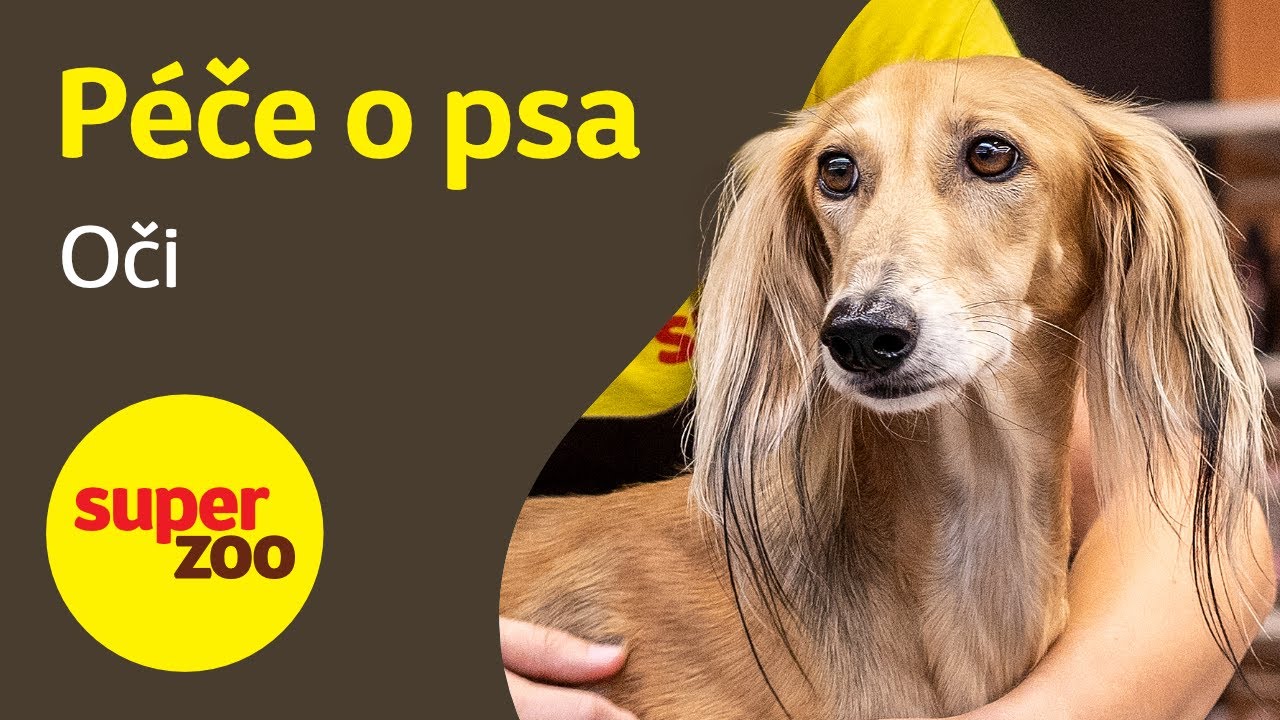 Péče o psa: Oči | Super zoo