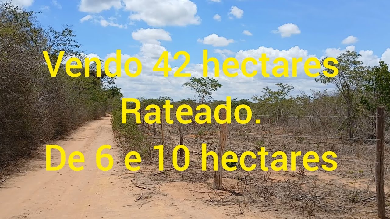 Chega qui nós parcela. 6 kms pra PE585. Ipubi-Pe 6 hectares 35 mil. 10 hectares 55 mil