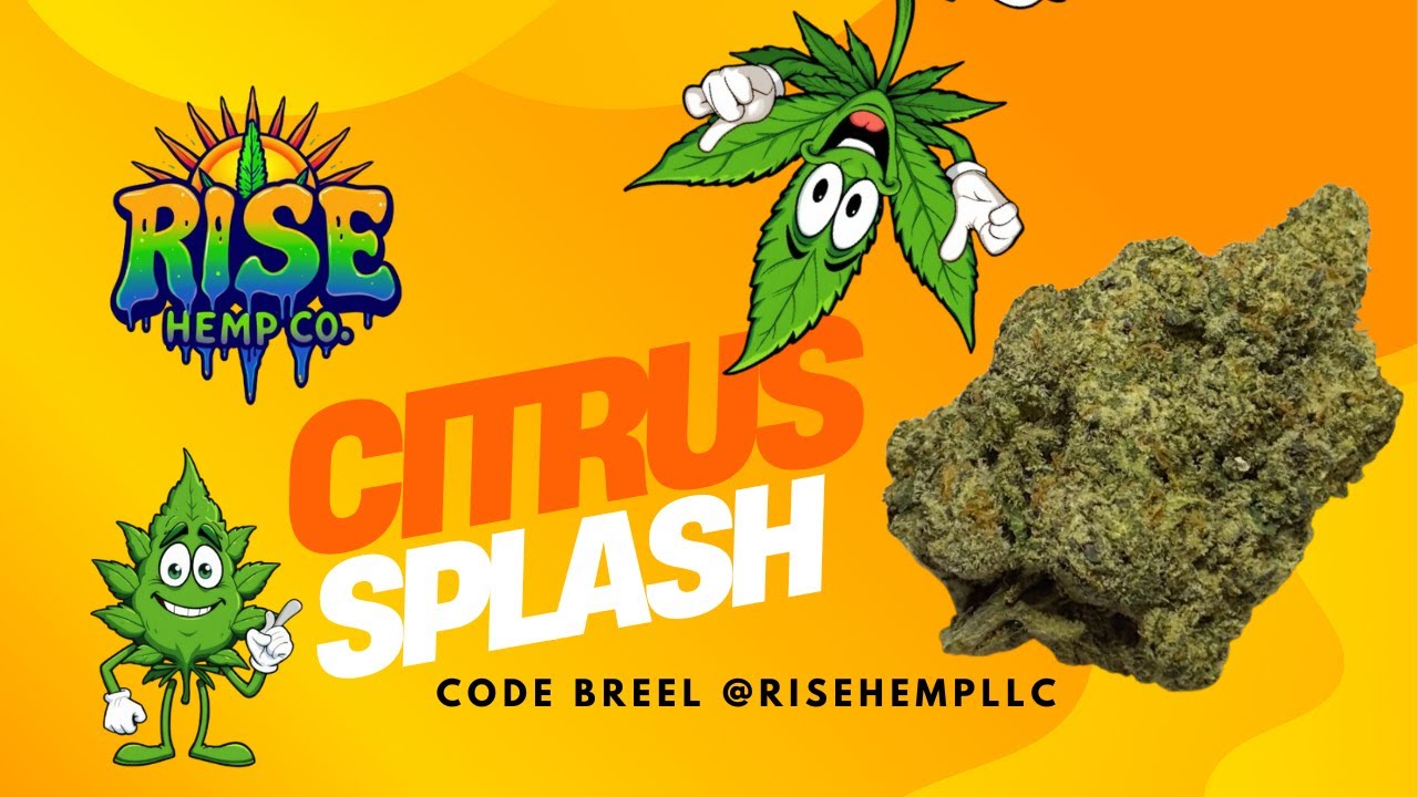 Trying Citrus Splash from Rise Hemp| New THCa vendor review!