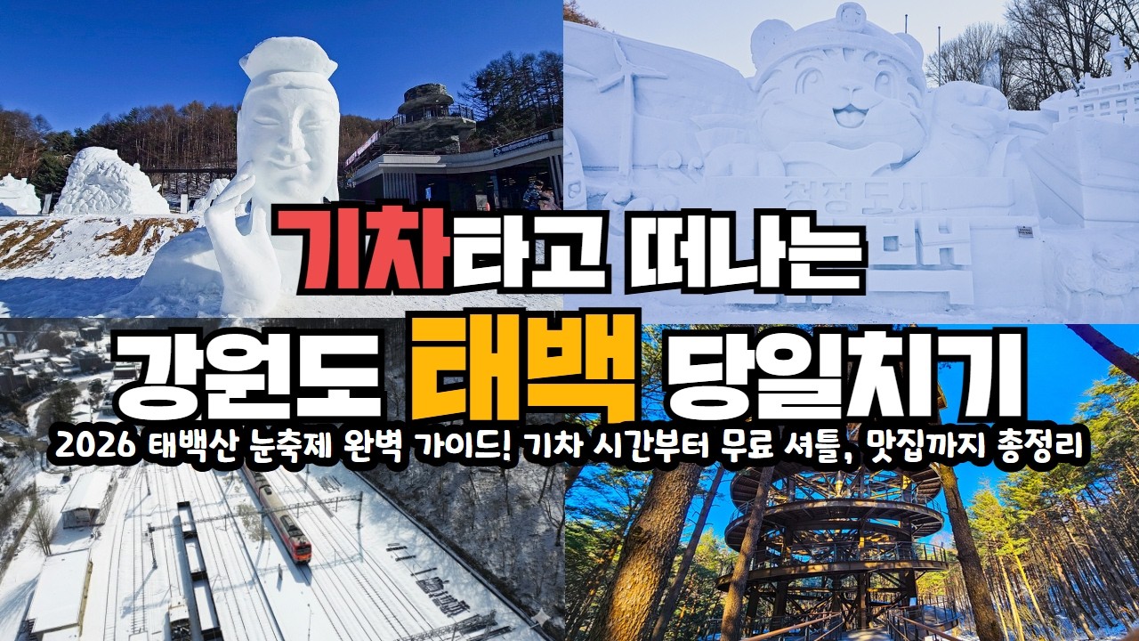 뚜벅이 당일치기 강원도 여행! 청량리에서 태백까지 5만원으로 당일치기 기차여행 #태백산눈축제 최신 정보 #물닭갈비 #하늘전망대