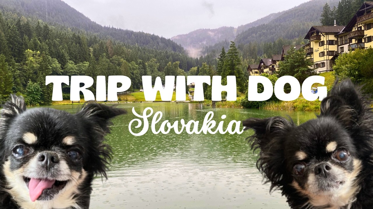 Place in Slovakia You NEED to See! 😍 | Hrabovo, Ružomberok | Chalet Malino