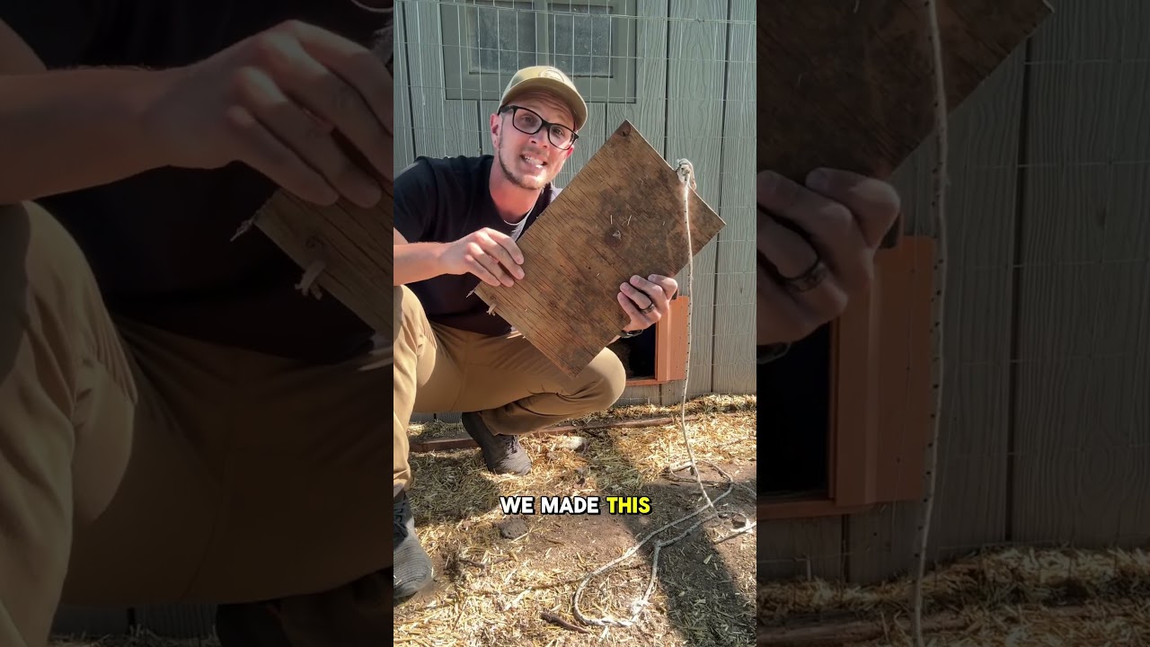 Cheap And EASY DIY Chicken Coop!