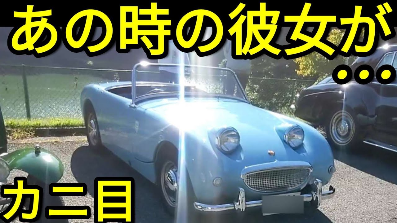 あの時の彼女が…(カニ目)オースチンヒーレースプライト