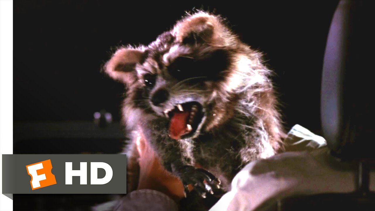 Harold & Kumar Go to White Castle - Rabid Raccoon Attack Scene (3/10) | Movieclips
