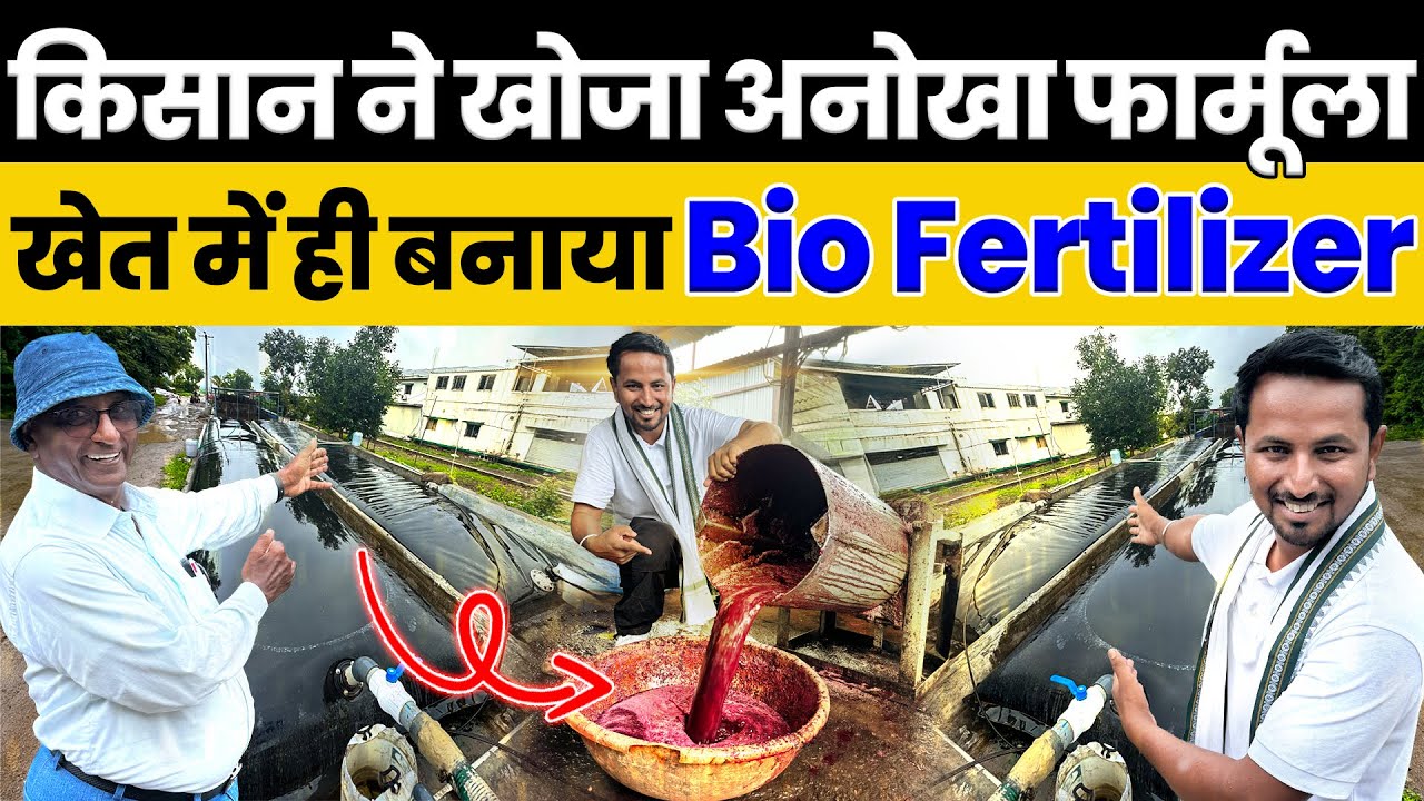 Chemical fertilizer की करो छुट्टी💯😱इस Bio Fertilizer से मुनाफा होगा दोगुना💰✅Indian Farmer