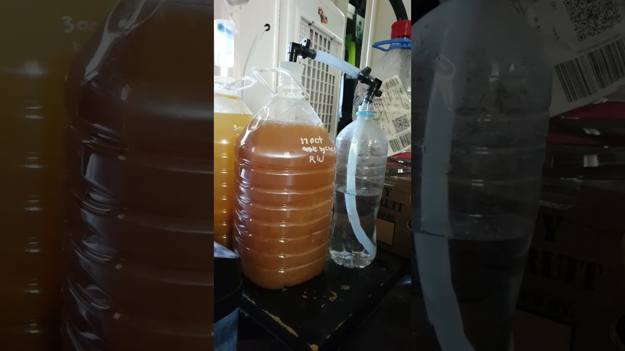 Lychee Apple Home Brew Hard Cider Alcohol Production Australia.