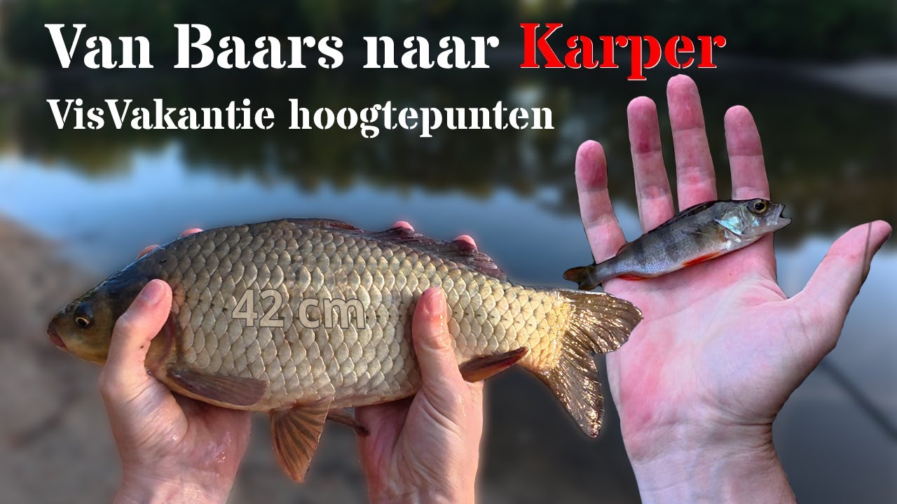 Van Baars naar Karper! 🎣 Vissen bij Landal Het Vennenbos.