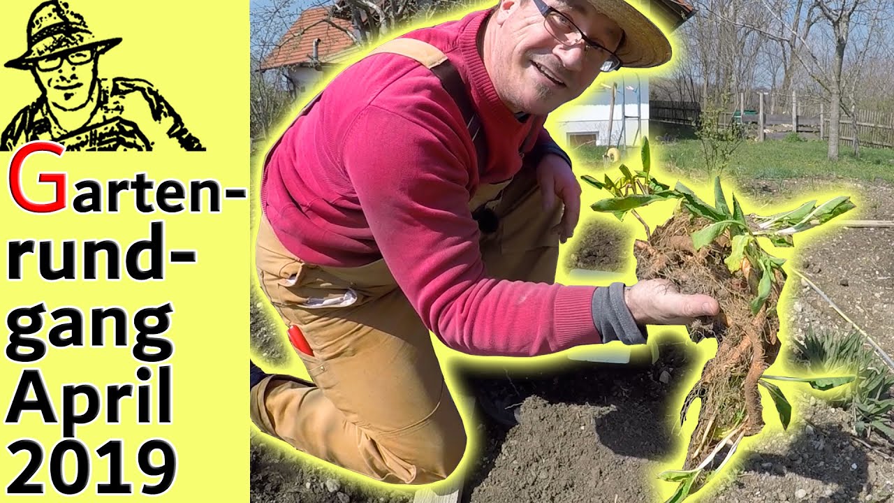 Der Rigotti-Garten im April 2019 - Voranzucht, Meerrettich (Fechser) und Direktsaat