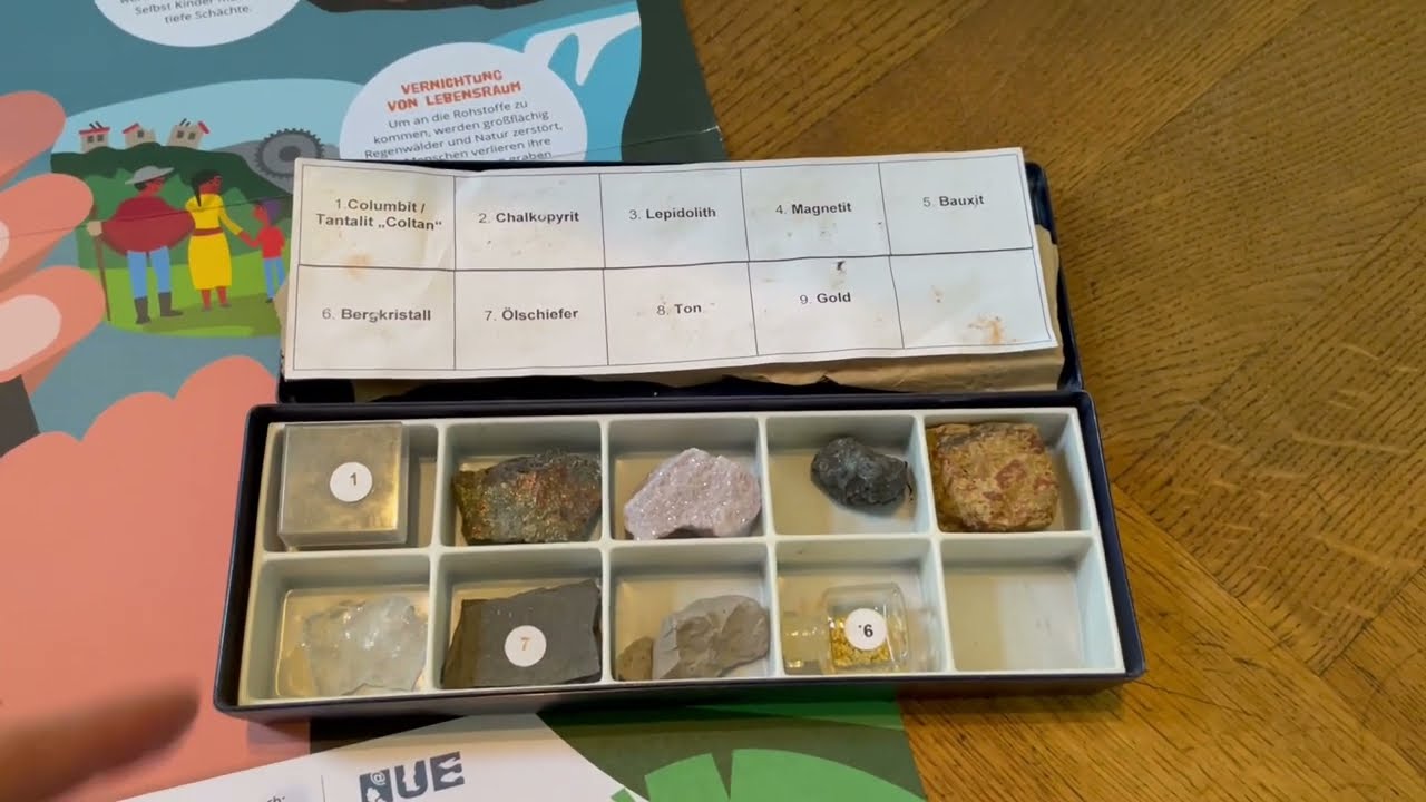 Handy-Koffer von Abenteuer Regenwald