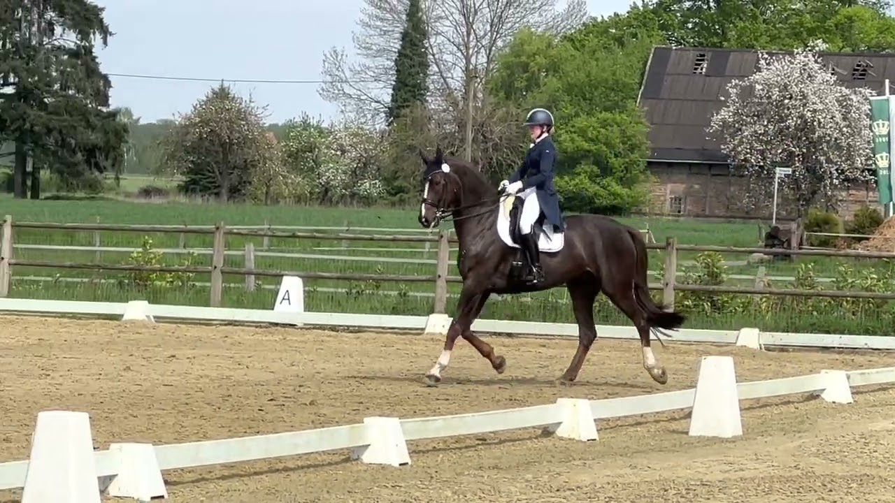 Intermediaire I
