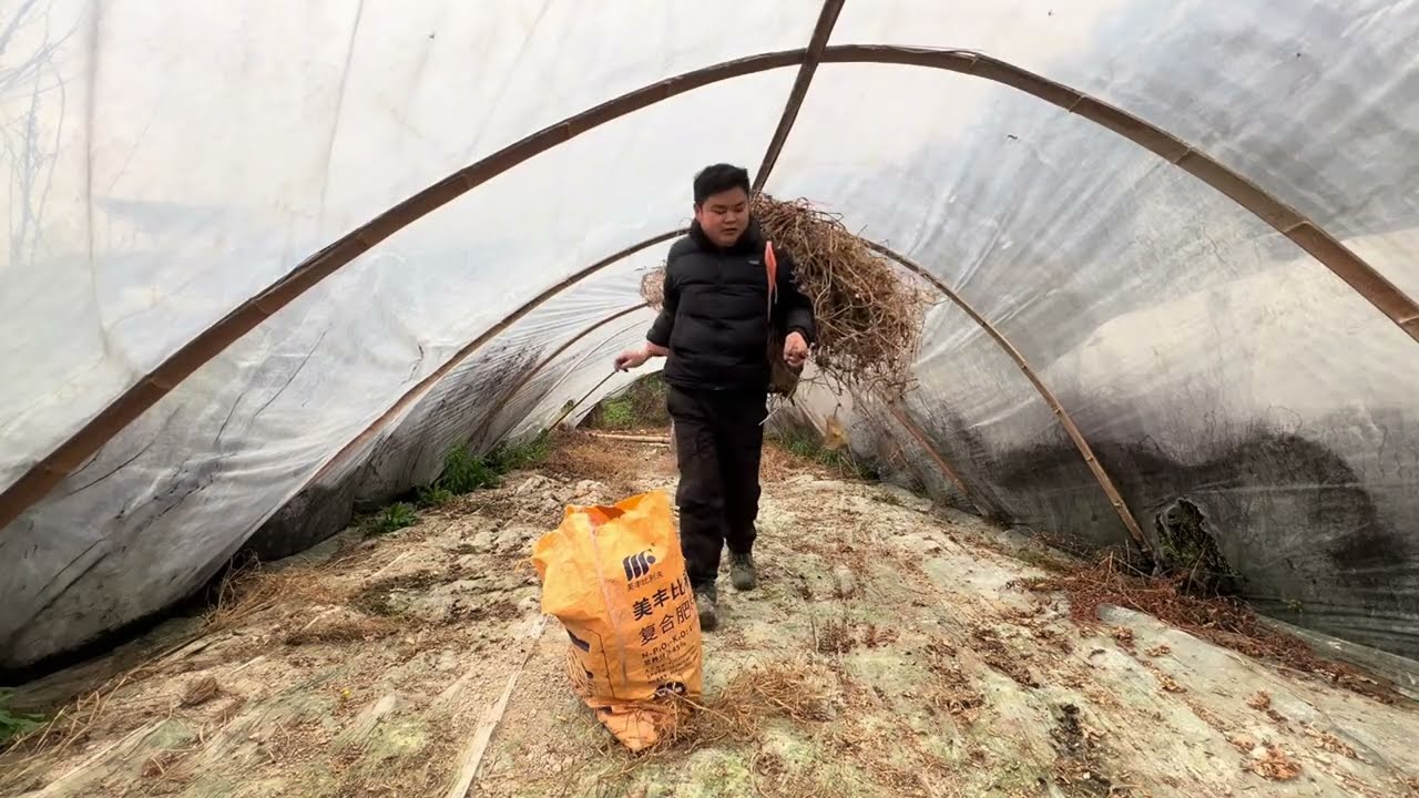 家里增添个新成员，加强一下它的保温工作，顺带给它妈妈弄点好吃的#农村养羊 #我的乡村生活 #农村养羊人记录农村生活 #小羊羔 #农场生活的真实记录