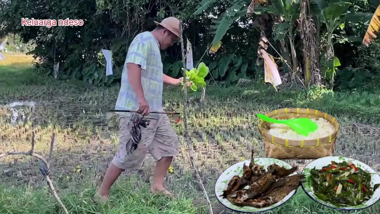 Mancing ikan,dan cari genjer di sawah, masak tumis genjer,ikan betik goreng, masakan desa 