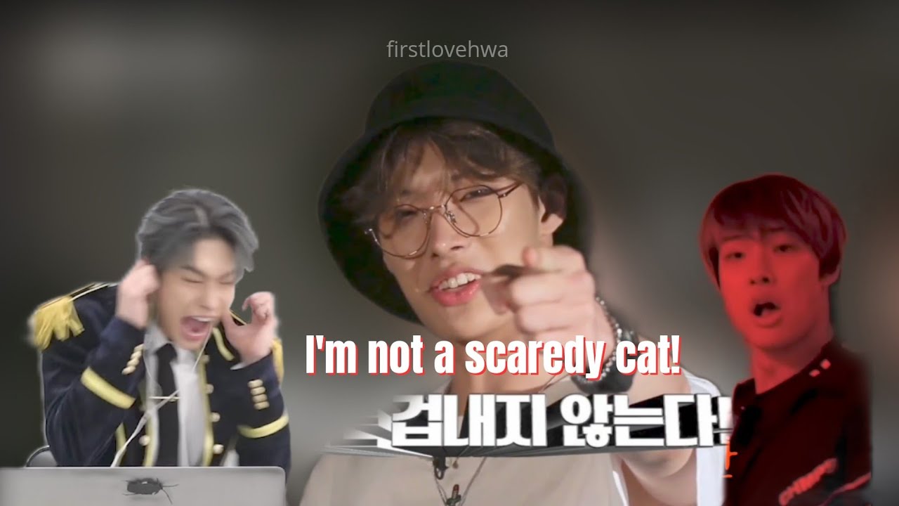 Mingi being a scaredy cat | How does he still have a voice??