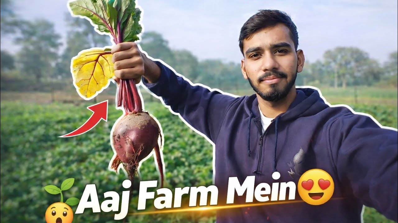 “Village vibes, farm life & peace 🌾”