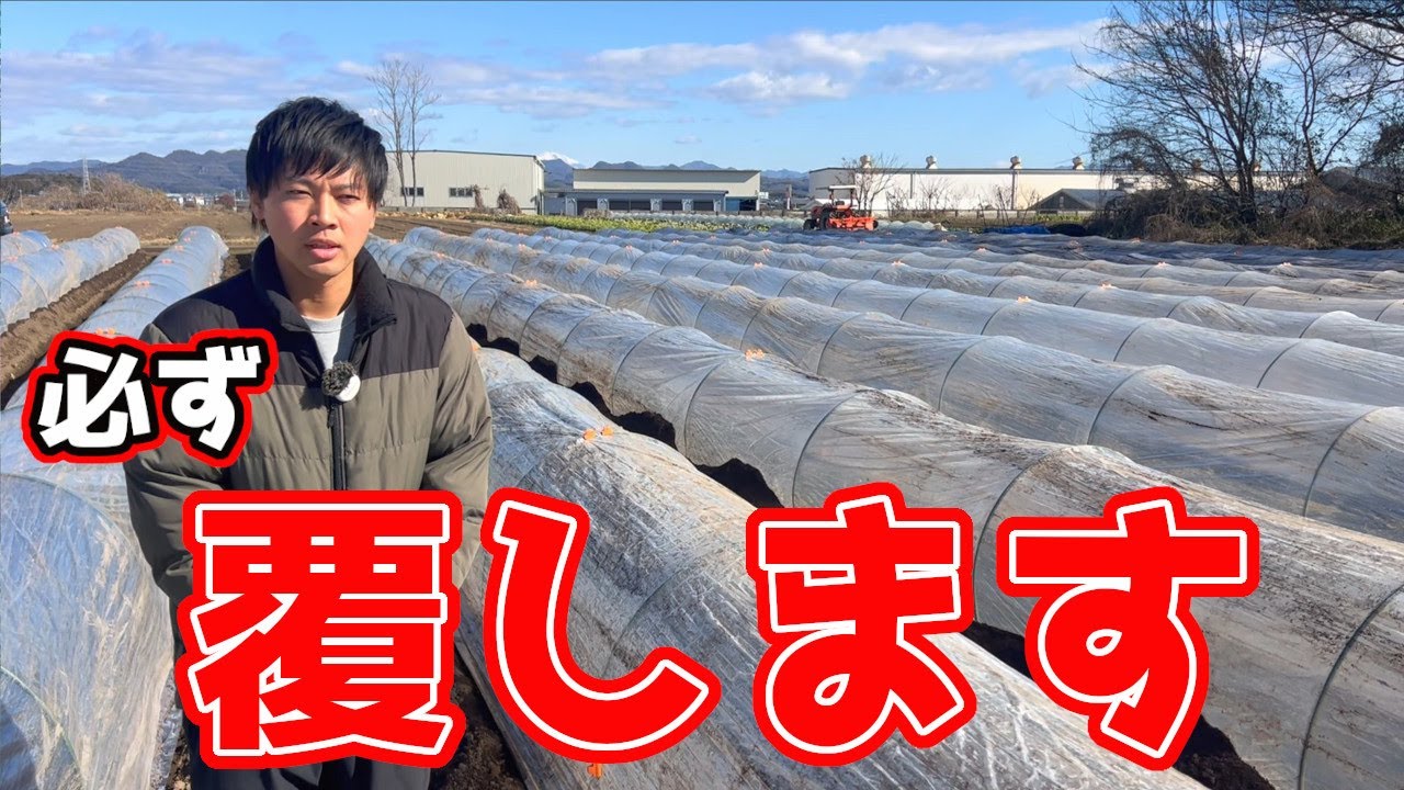 絶対無理だと言われたことに挑戦します。
