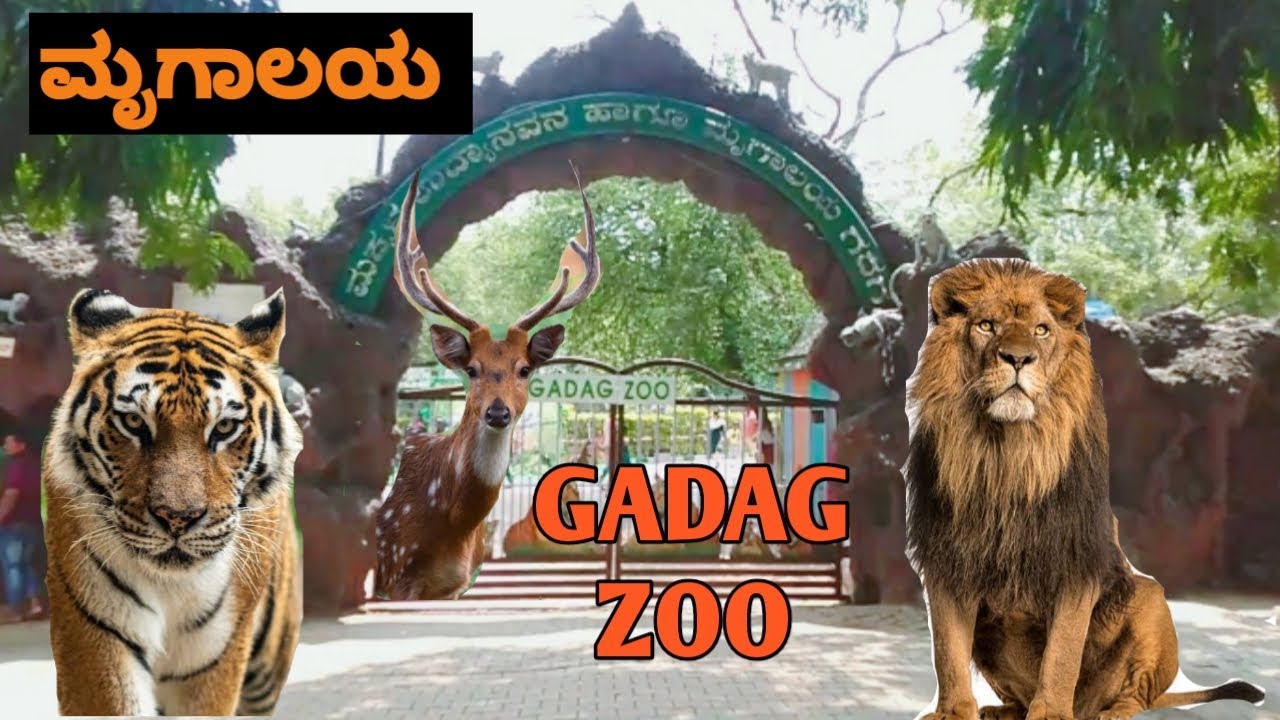 GADAG ZOO | BINKADAKATTI | KANNADA | 2023