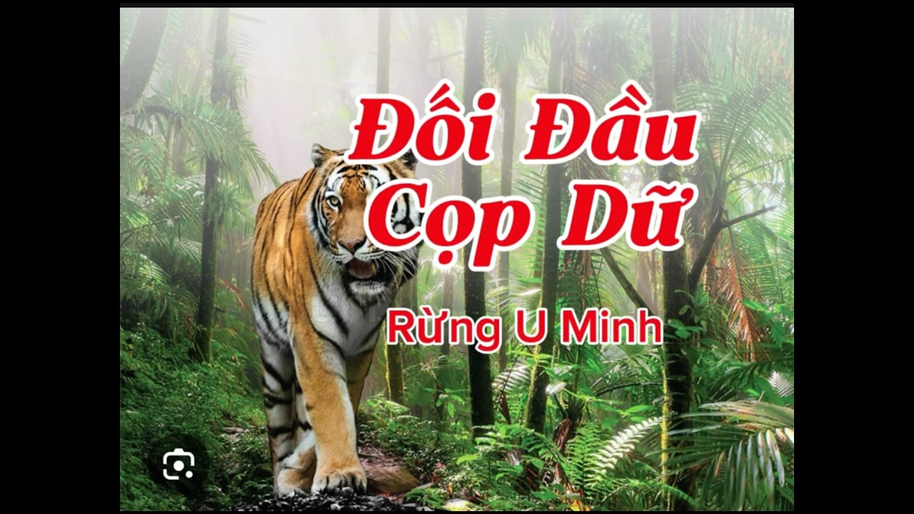 ĐỐI ĐẦU CỌP DỮ RỪNG U MINH | Truyện Kể Người Giành Đất Ở Với Cọp Dữ | Lê Anh diễn đọc 
