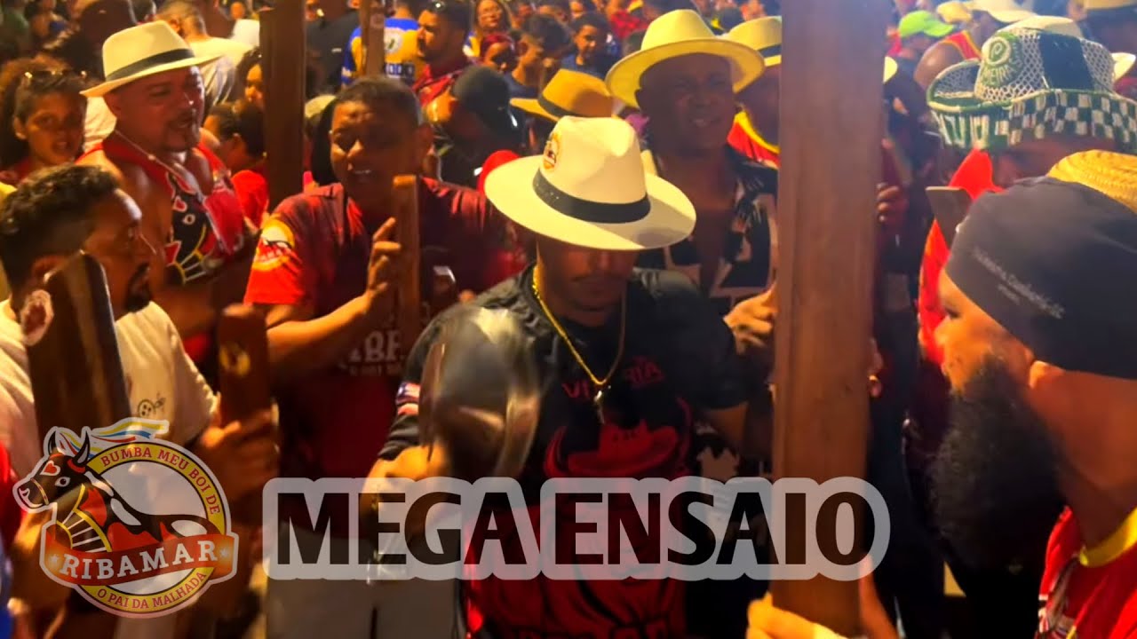 🐂🔥MEGA ENSAIO REDONDO DO BOI DE RIBAMAR