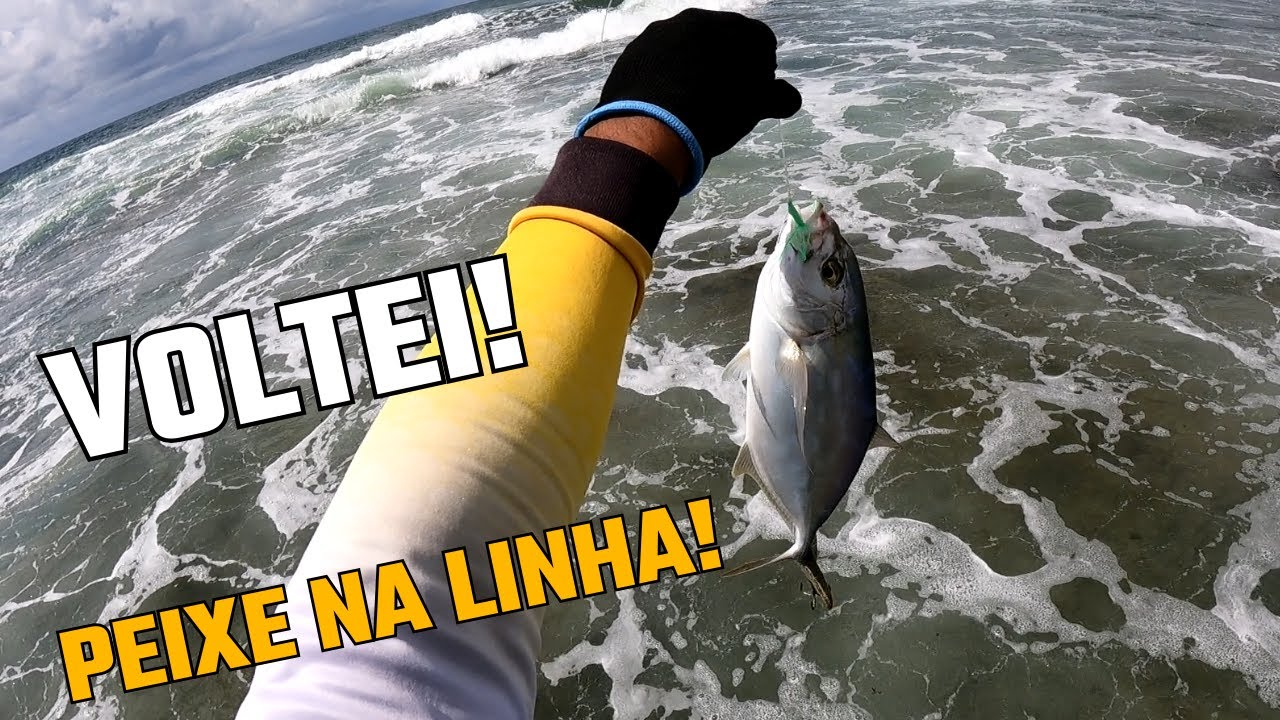 VOLTEI!!! Pescaria nas Pedras - Rockfishing