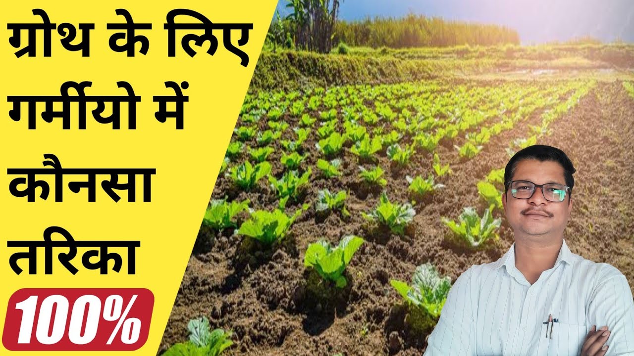 फसल के ग्रोथ के लिए गर्मी में कौनसे तरीके अपनाए । plant growth in summer ☀️