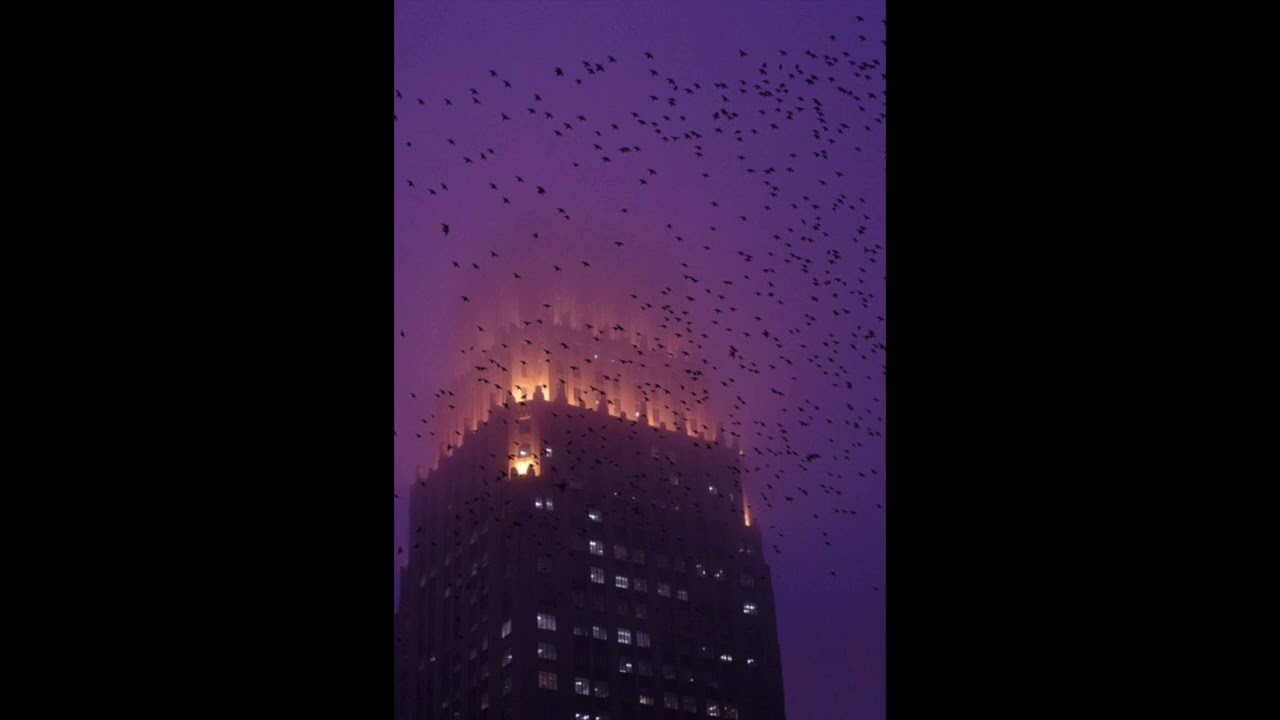 [FREE] destroy lonely x untiljapan type beat 