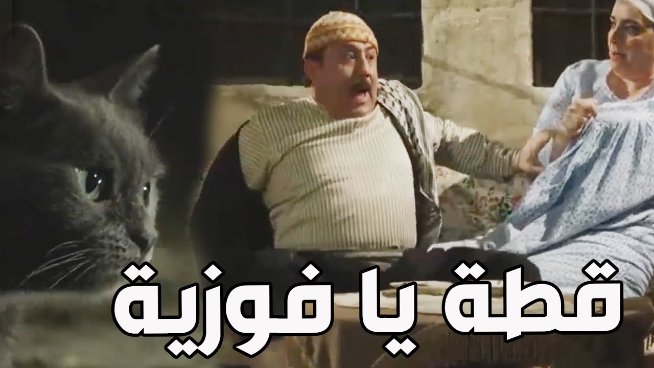 باب الحارة ـ  شوفو شو صار بأبو بدر لما شاف قطة سودة هههه مو طبيعي