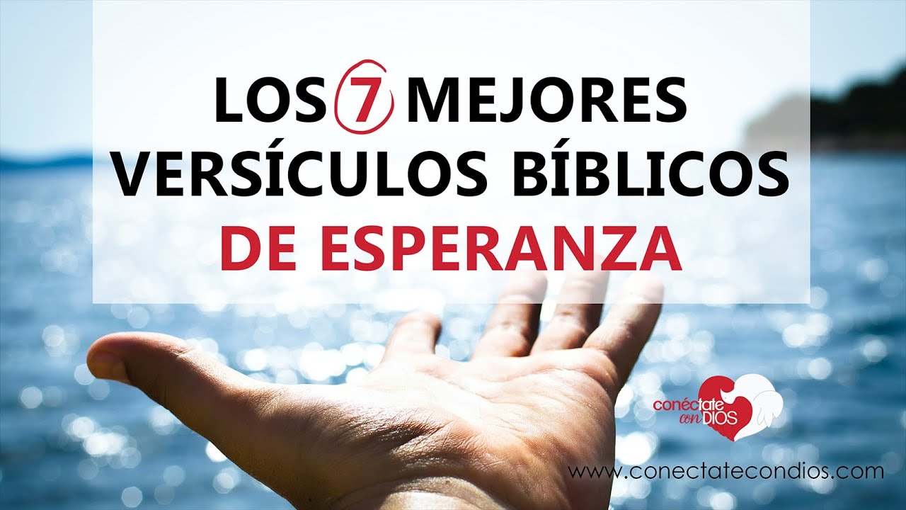 🌾 Los 7 Mejores Vers&iacute;culos B&iacute;blicos de Esperanza (Pasajes de la Biblia de Fe y Esperanza)