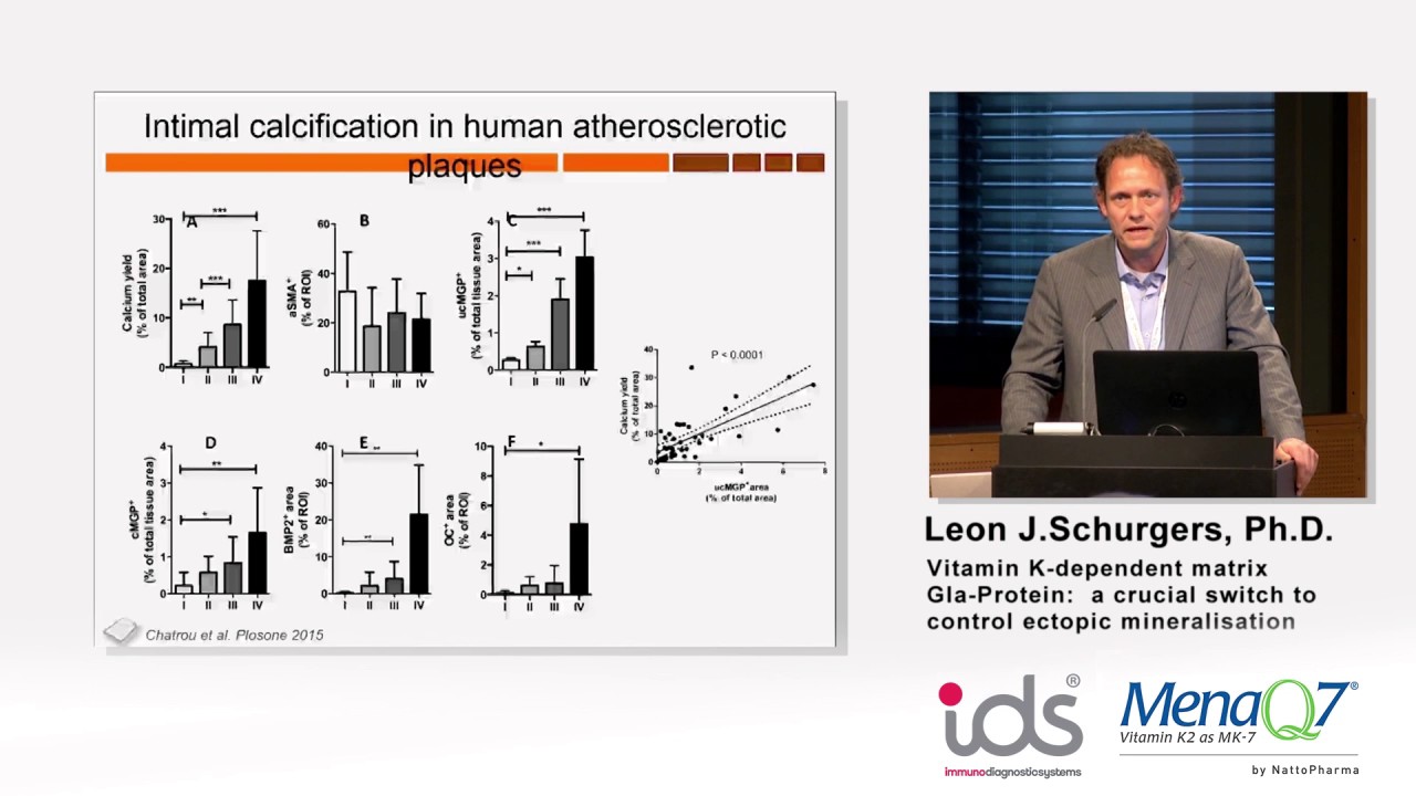 Vitamin K-dependent matrix Gia-Protein - Dr. Leon Schurgers