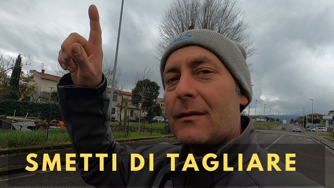 Capitozzatura: come rovinare un albero in pochi tagli