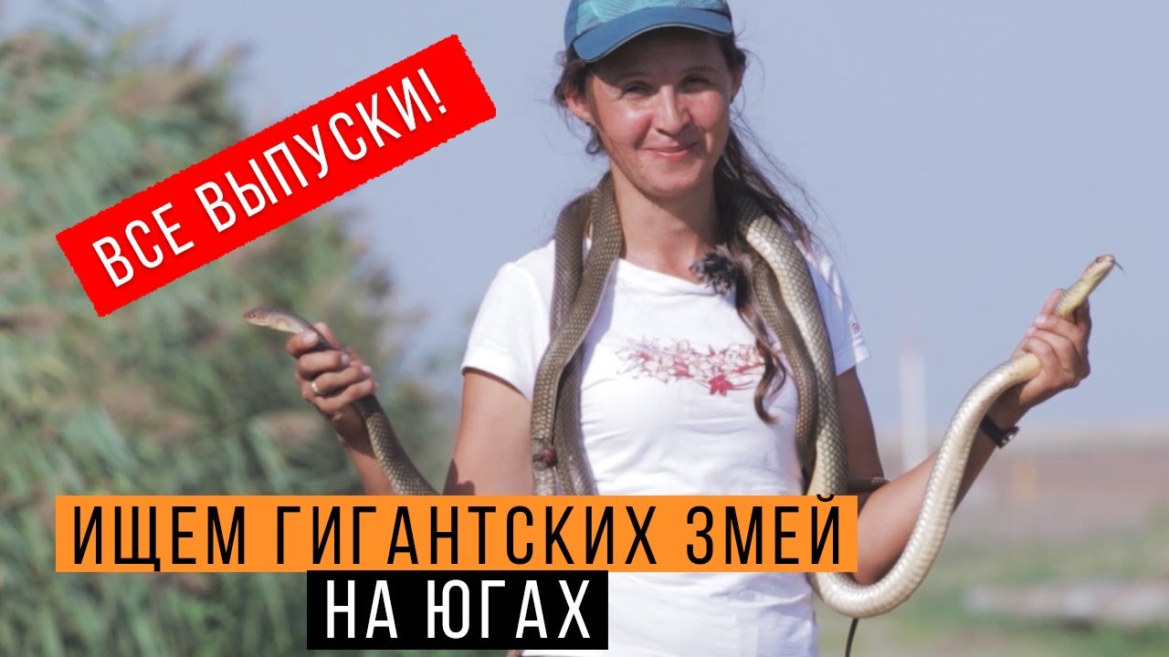 Ловим ГИГАНТСКОГО желтобрюха — МЕГАВЫПУСК! + секретный эпизод / Змеелов - ученый