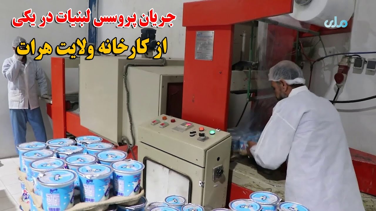 میهن من | جریان پروسس لبنیات در یکی از کارخانه ولایت هرات در شهرک صنعتی