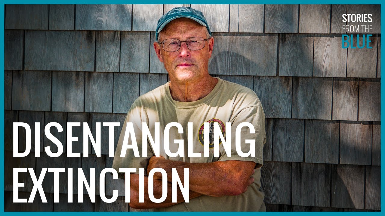 Stories from the Blue: Charles 