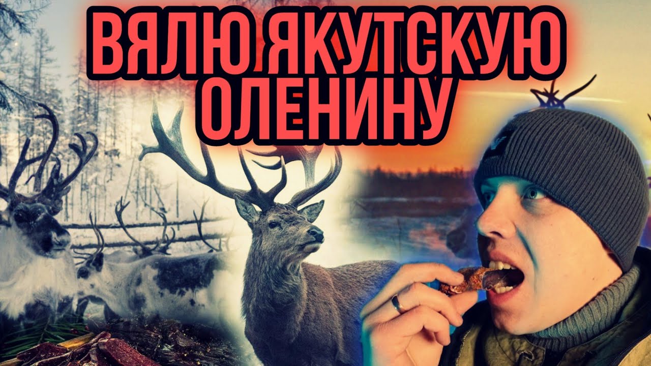 Вяленая якутская оленина , как приготовить и какая она на вкус