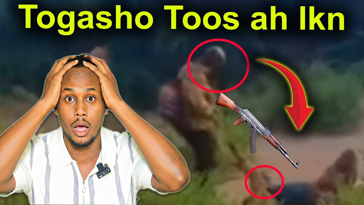 Naxdin : Dil toos ah ayuu ka badbaaday Muuqaal argagax leh  haddaa wu dhiman lahaa