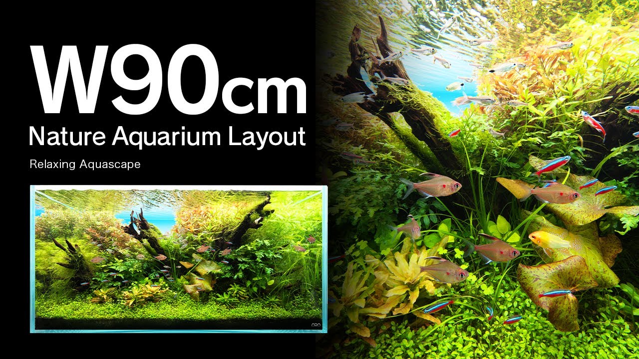 [ADAview] Relaxing Aquascape 憩いの水景 -W90cm NatureAquarium Layout-【EN/JP Sub.】