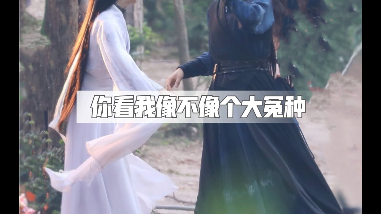 Immortality “Destined Ranwan ” Luo Yunxi X Chen Feiyu |飞云系 | Feiyunxi | 皓衣行 | Haoyixing