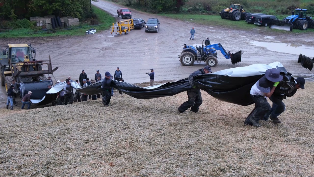 Covering the Pile of Corn