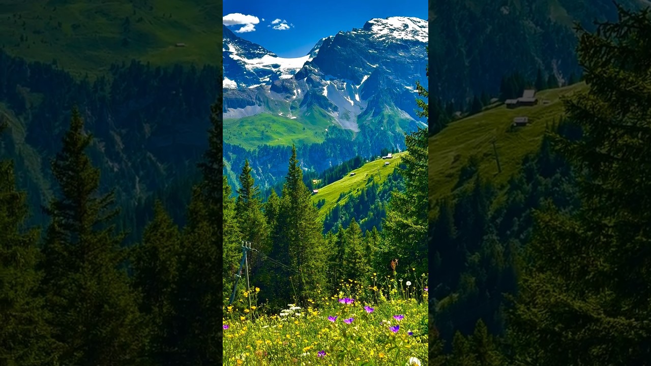World’s Most Beautiful Country?! 🇨🇭 Switzerland Adventure 🏔️
