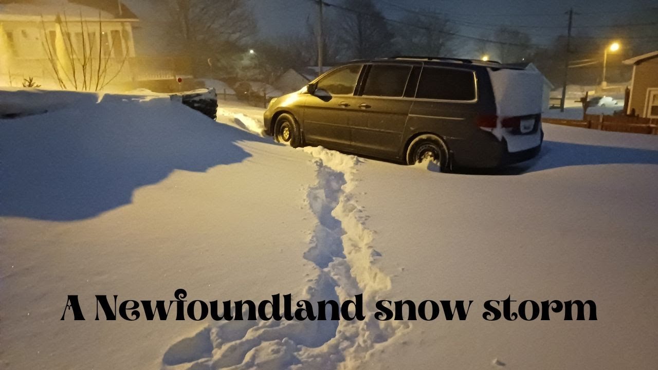 Newfoundland Blizzard February 10, 2025