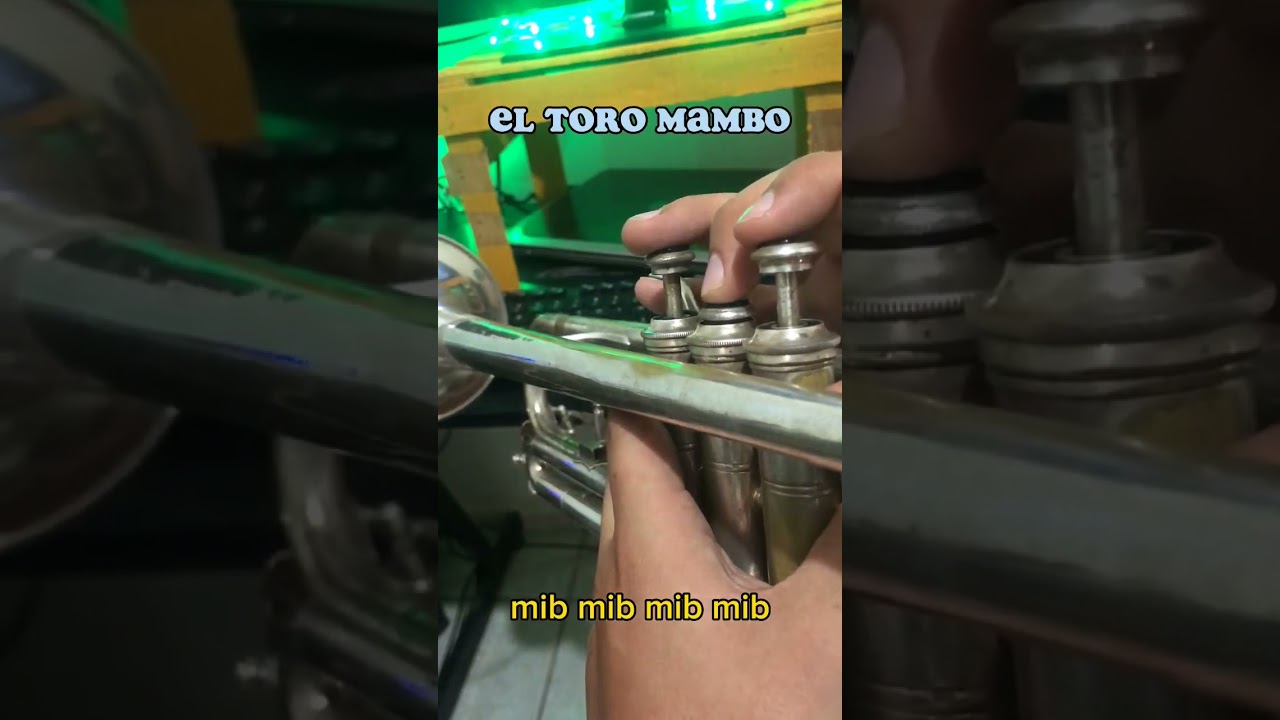 El toro mambo #tutorial #solotrompeta #bandamm