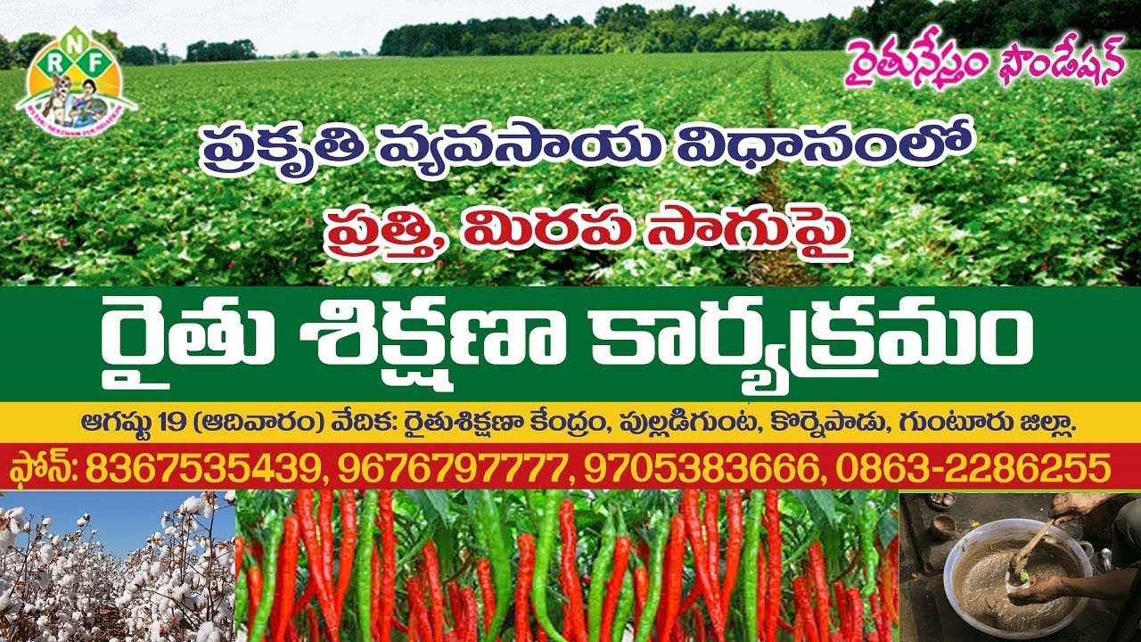 Training On Cotton, Mirchi Natural Farming &ndash; RythuNestham Foundation