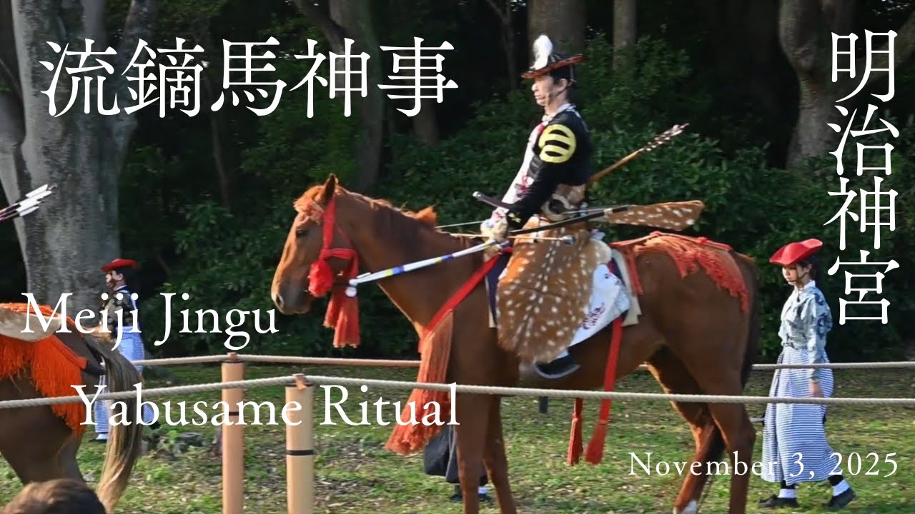 明治神宮 流鏑馬神事 令和7年(2025年)11月3 日　#japan #festival #tokyo #meijijingu #yabusame #archery #samurai 